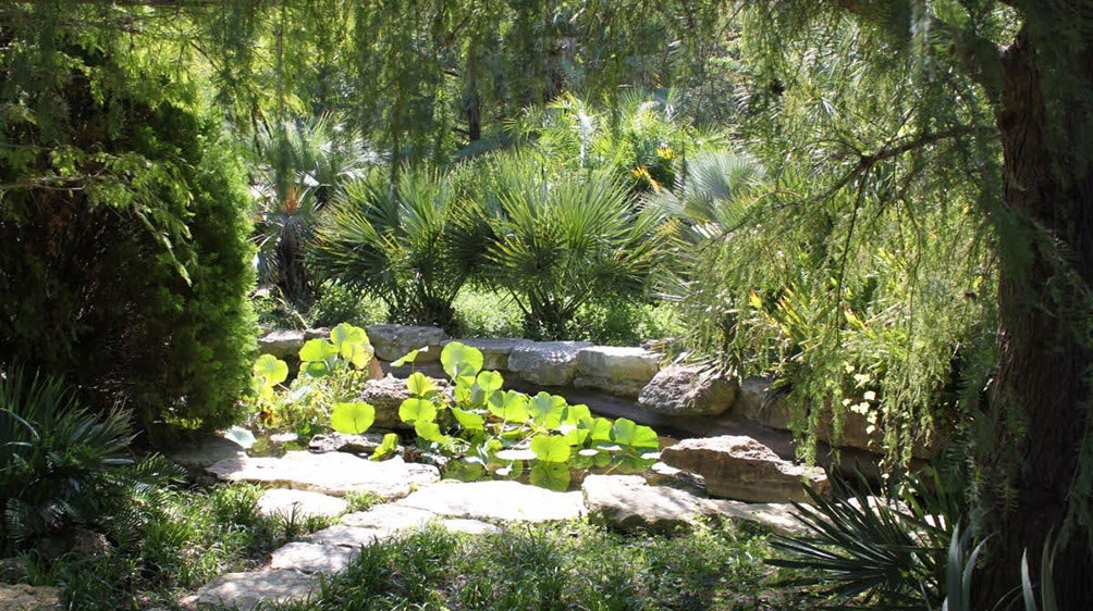 Austin Staycation Ideas Zilker Botanical Garden