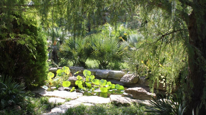 Austin Staycation Ideas Zilker Botanical Garden