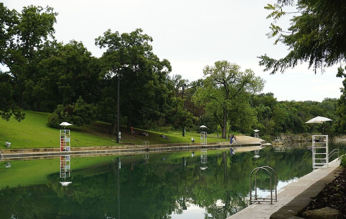 Barton Springs Pool Heywood Hotel Boutique Hotel Austin Places to Swim in Austin
