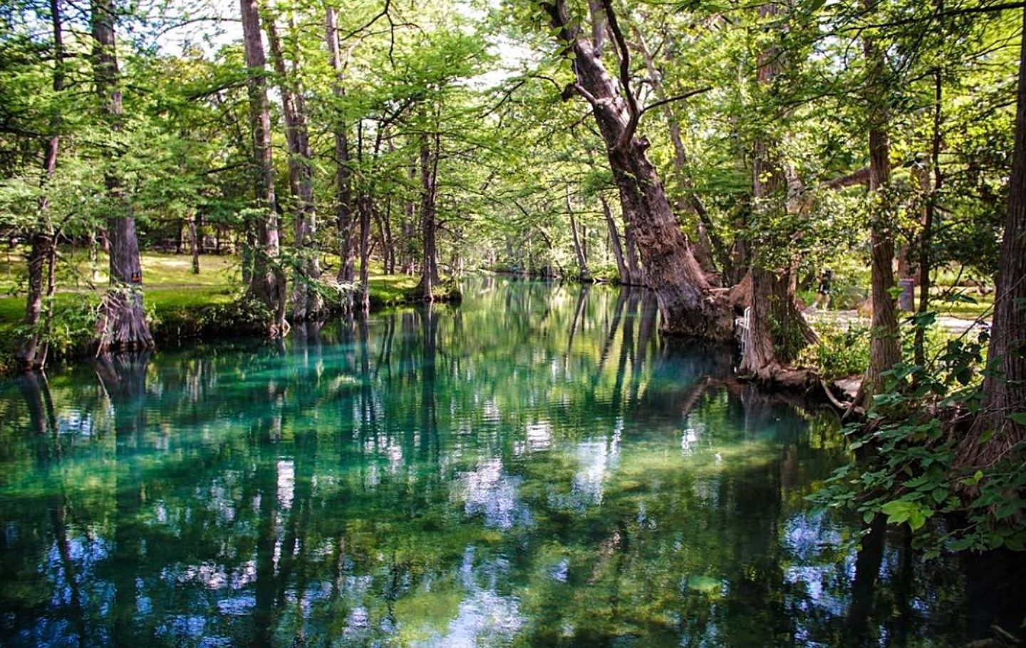 Blue Hole Regional Park Wimberley Heywood Hotel Boutique Hotel Austin Places to Swim in Austin