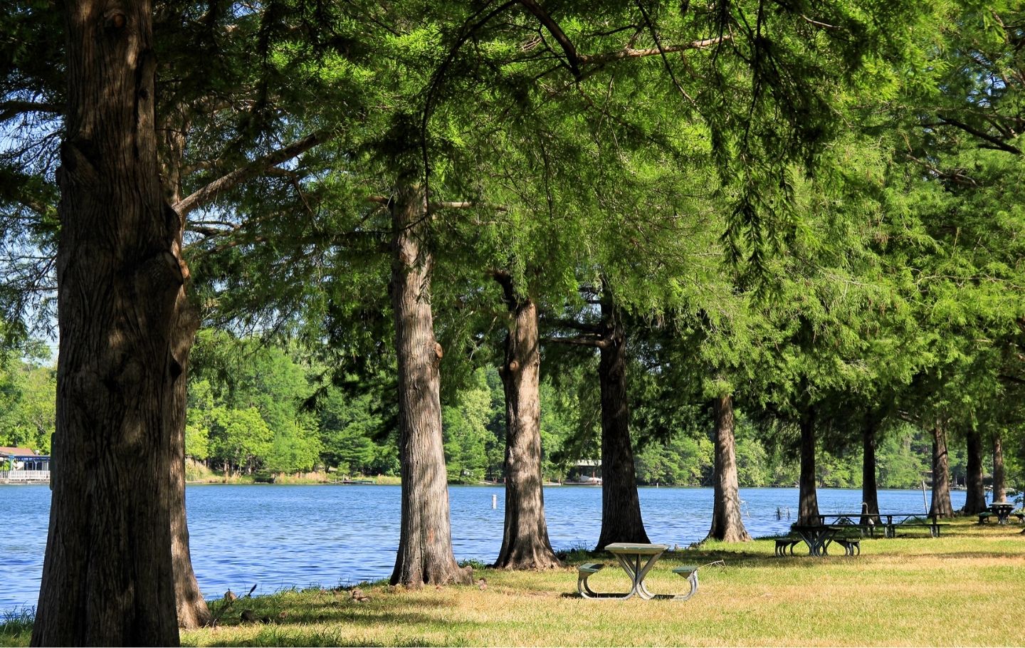 Emma Long Park Heywood Hotel Boutique Hotel Austin Places to Swim in Austin