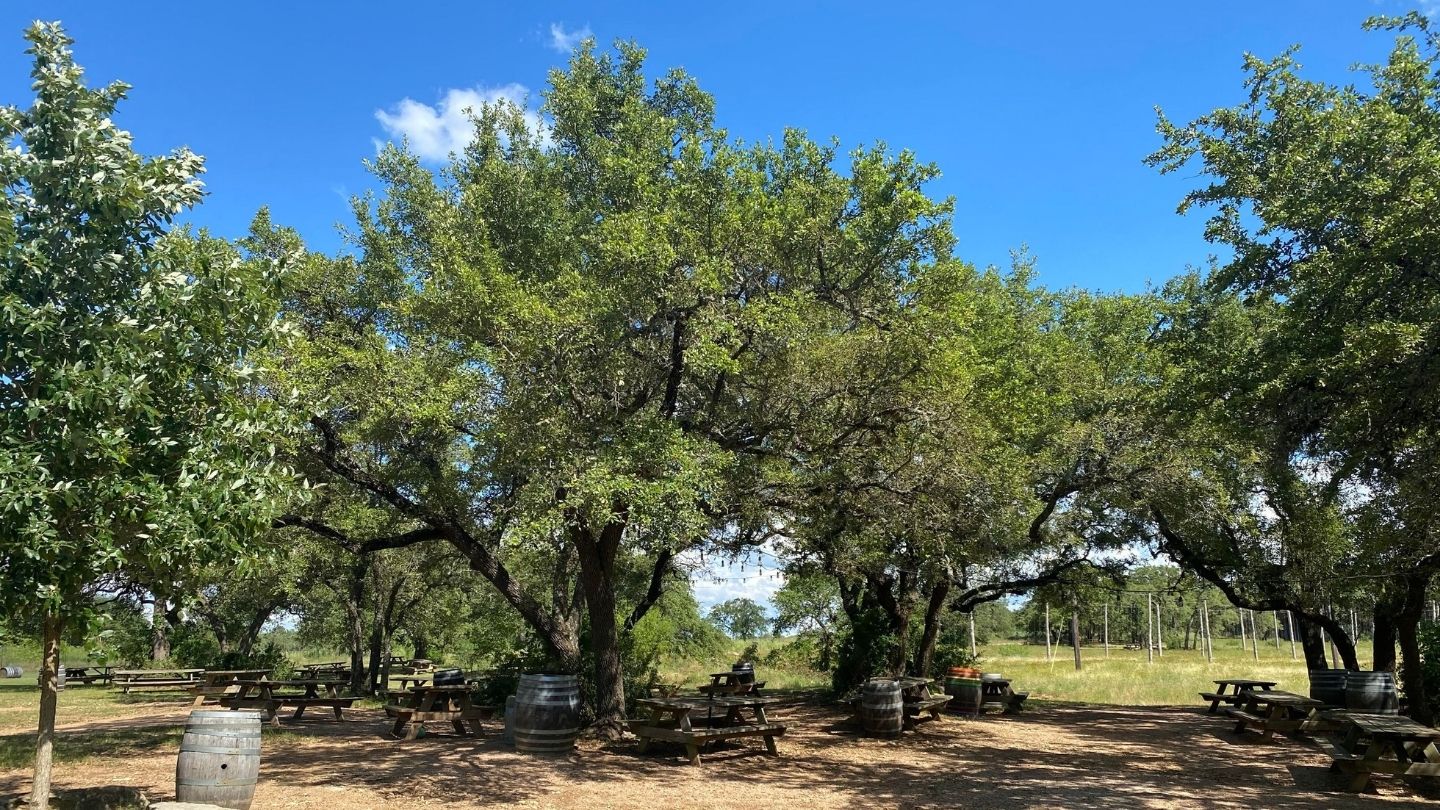 Jester King Heywood Hotel Boutique Hotel Austin Best Austin Breweries