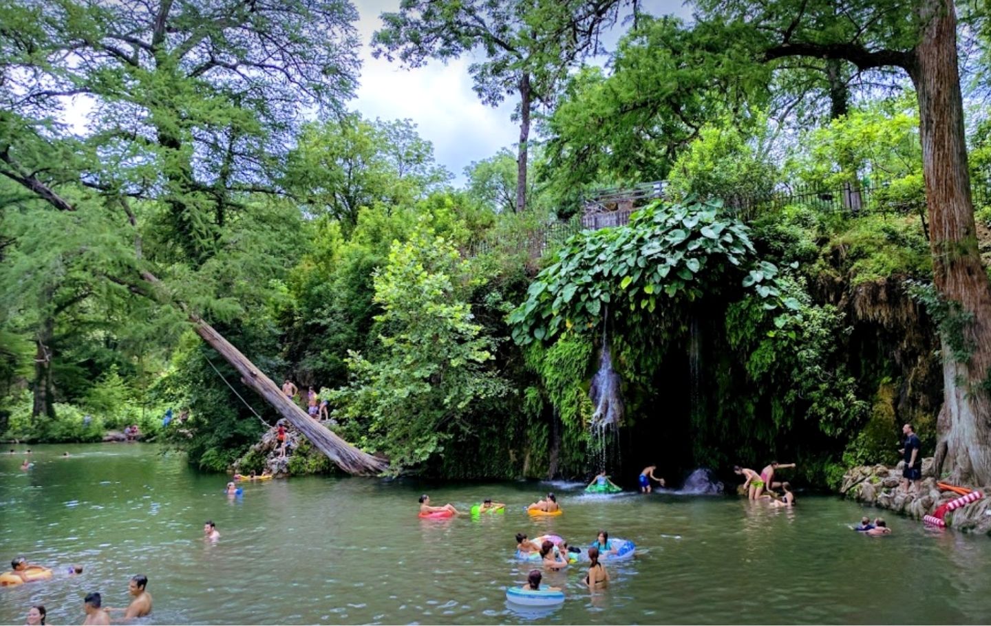 Krause Springs Heywood Hotel Boutique Hotel Austin Places to Swim in Austin