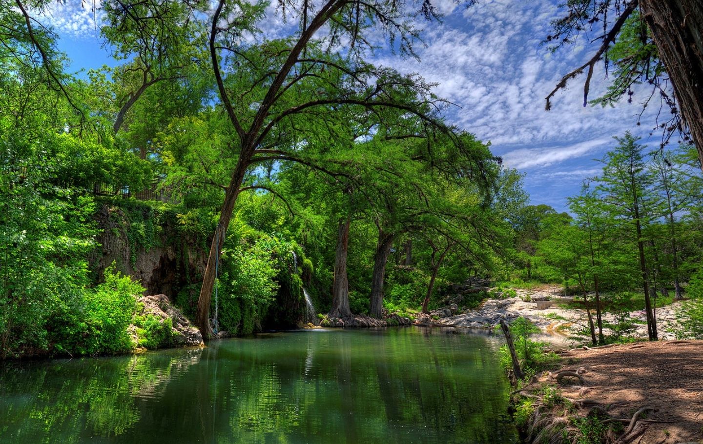 Krause Springs Heywood Hotel Boutique Hotel Austin Places to Swim in Austin